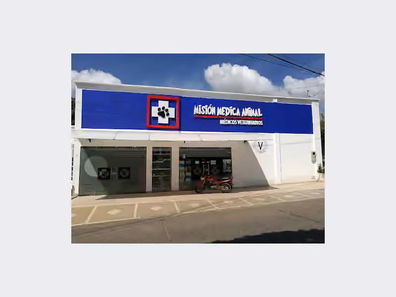 Mision Medica Animal - Medicos Veterinarios