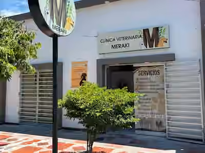 Clínica Veterinaria MERAKI