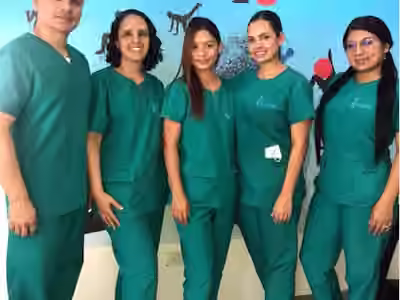 Recuperar Vida Fisioterapia