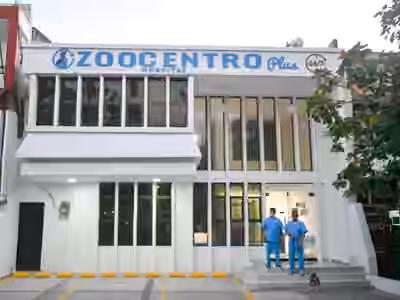 Hospital Veterinario Zoocentro Plus