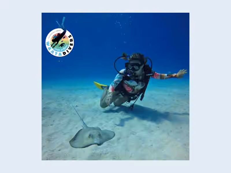 Waata Divers buceo San Andrés Isla