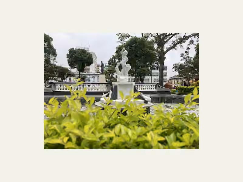 Idime S.A. Ibagué Imágenes